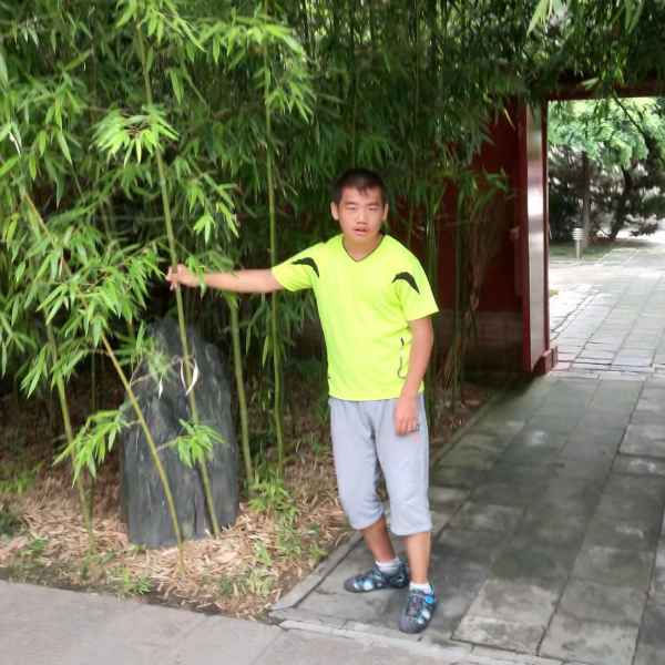 石家庄征婚相亲网