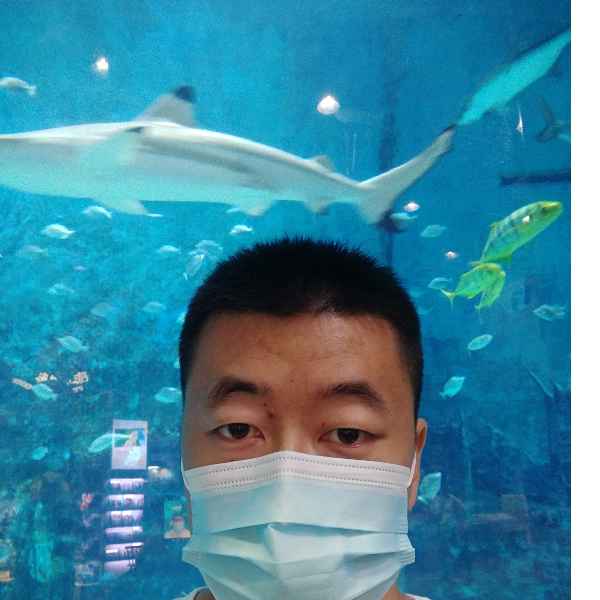 河北34岁单身帅哥真诚找对象-石家庄征婚相亲网