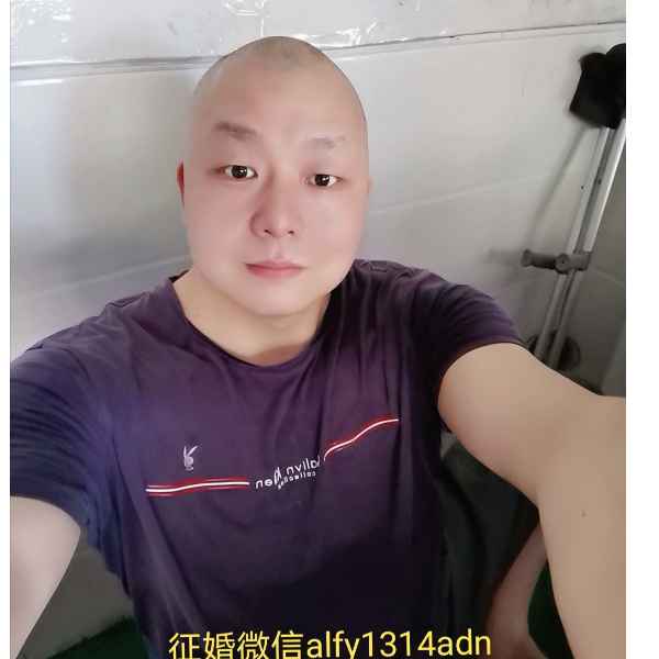石家庄征婚相亲网