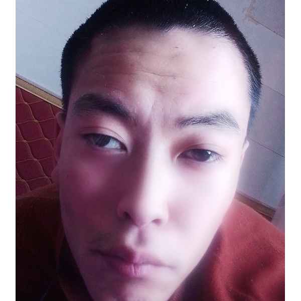 宁夏25岁单身帅哥真诚找对象-石家庄征婚相亲网