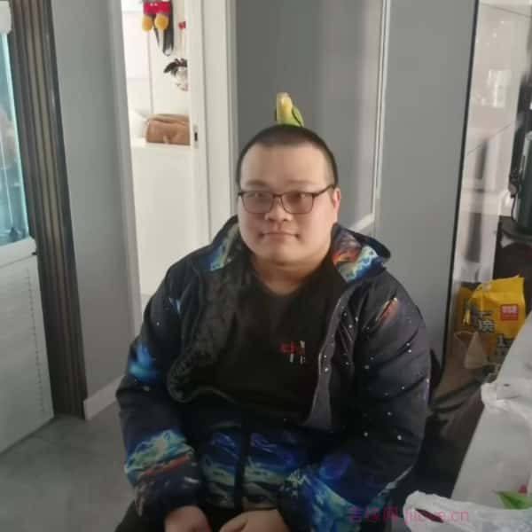 石家庄征婚相亲网