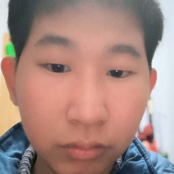 石家庄征婚相亲网