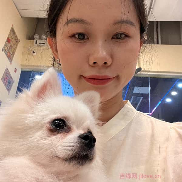 石家庄征婚相亲网