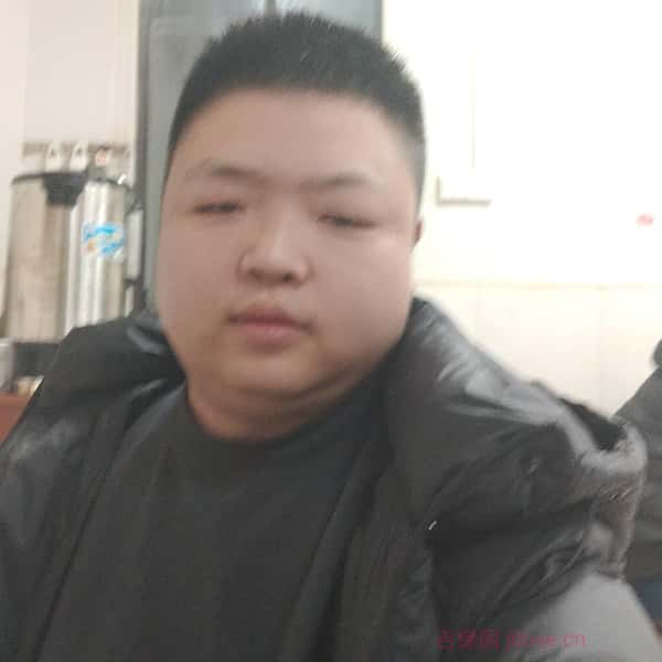石家庄征婚网