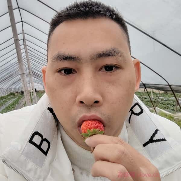 石家庄征婚网
